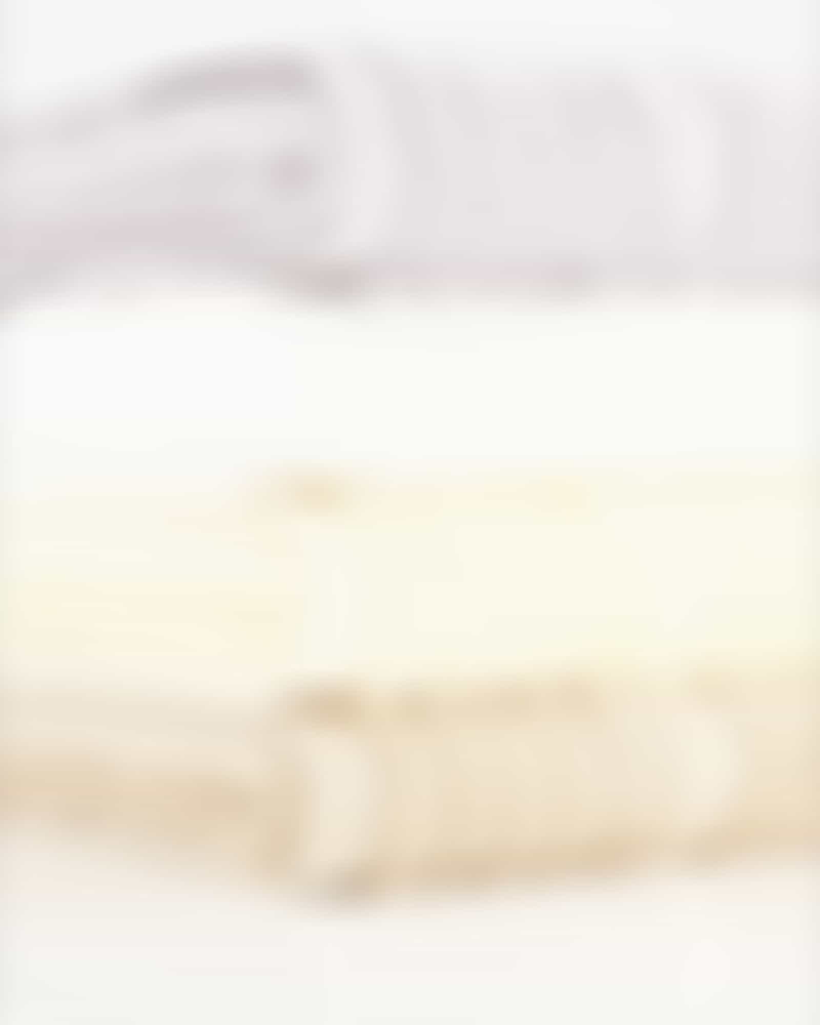 Vossen Handtücher Vienna Style Supersoft - Farbe: light grey - 7210 - Handtuch 60x110 cm