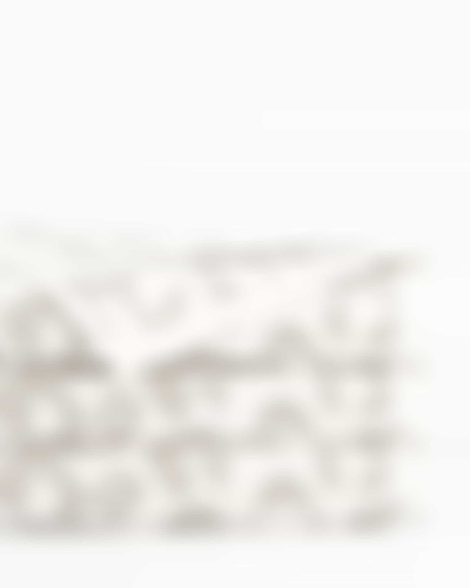 Cawö Handtücher Two-Tone Leo 540 - Farbe: platin - 76