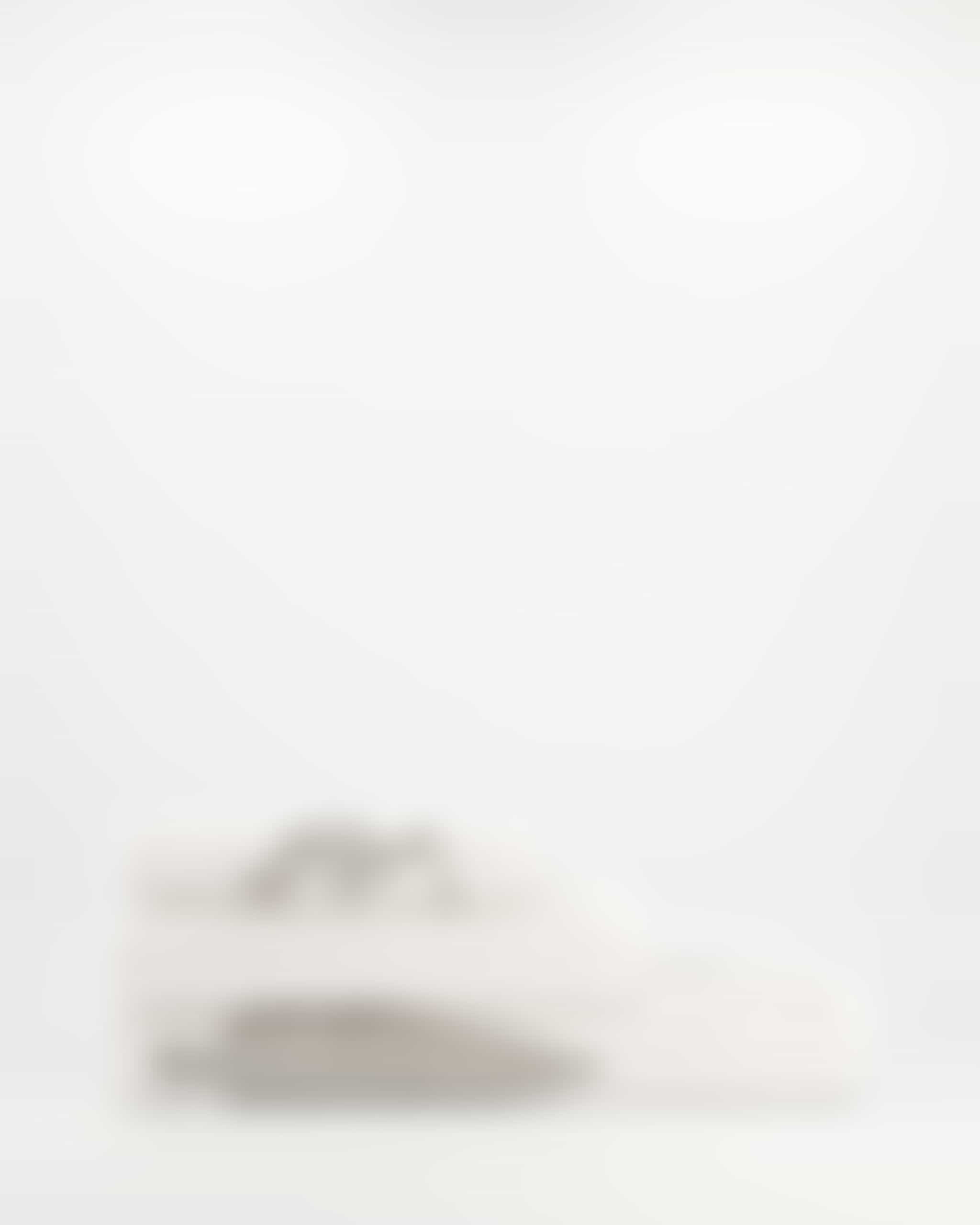 Cawö Handtücher WINTER EDITION Skifahrer 6272 - Farbe: weiß/platin - 67