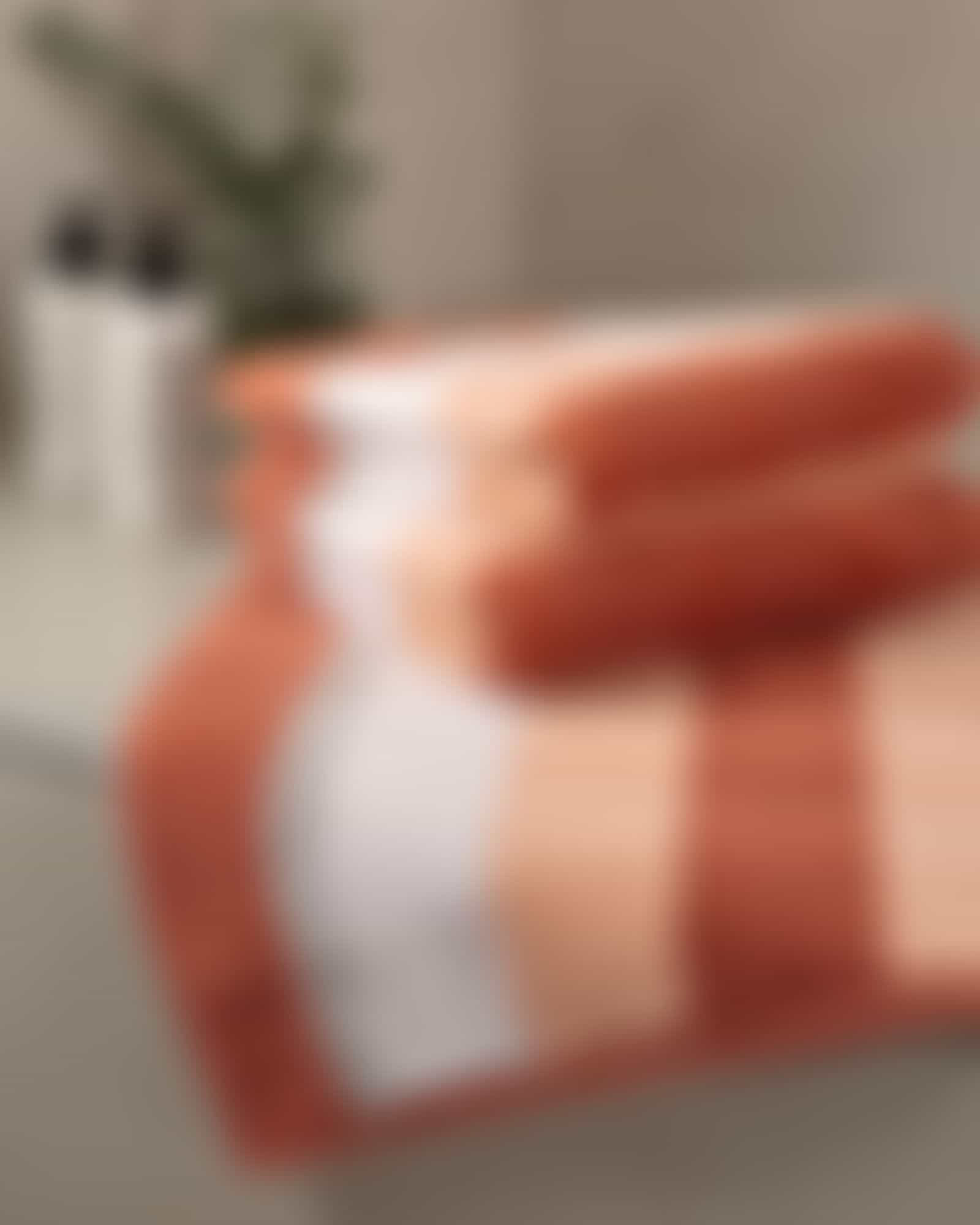 Cawö Handtücher Noblesse Stripe 1087 - Farbe: brick - 33 Detailbild 1