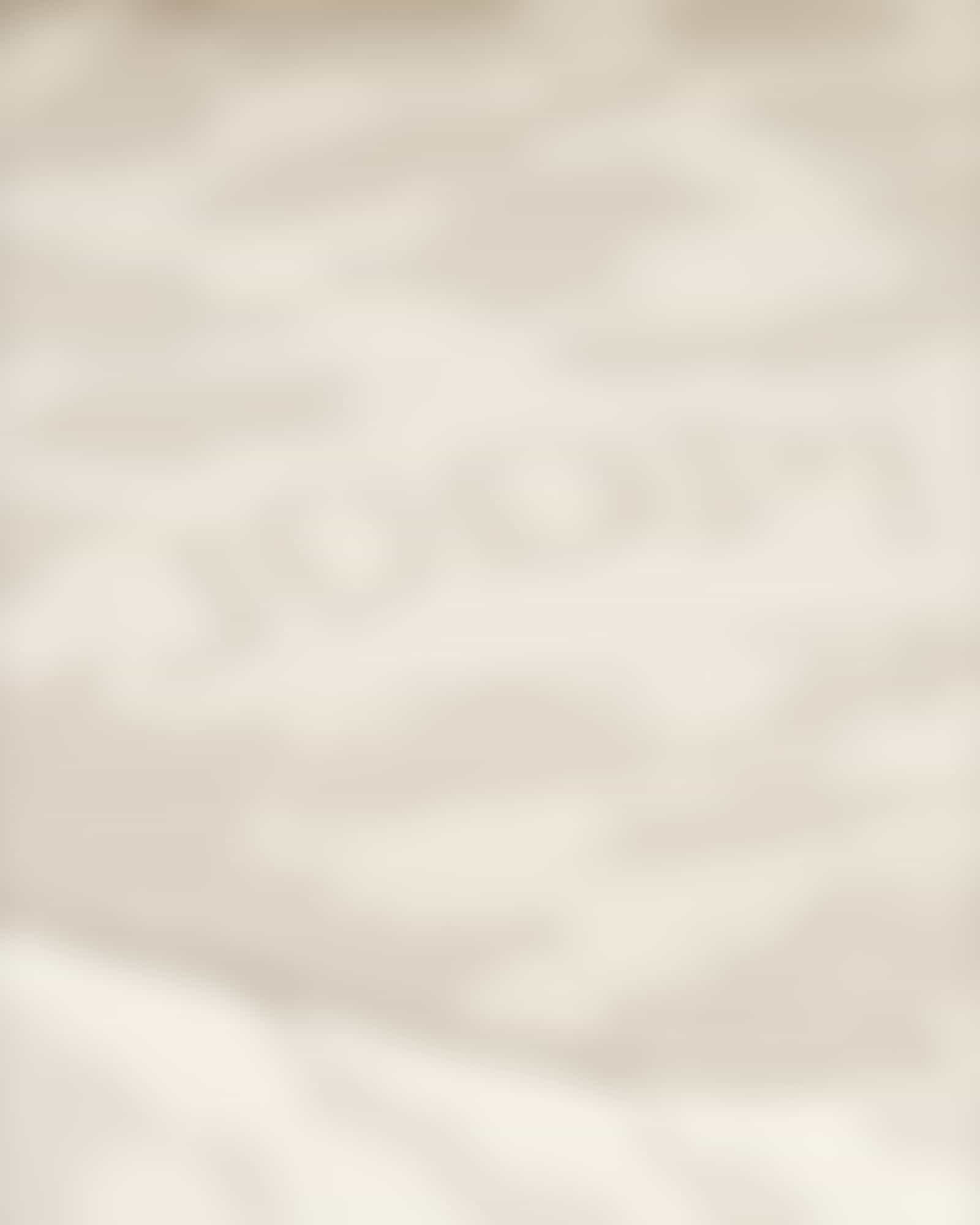 JOOP! Wohndecken Spirit - Farbe: Natur - 150x200 cm Detailbild 2